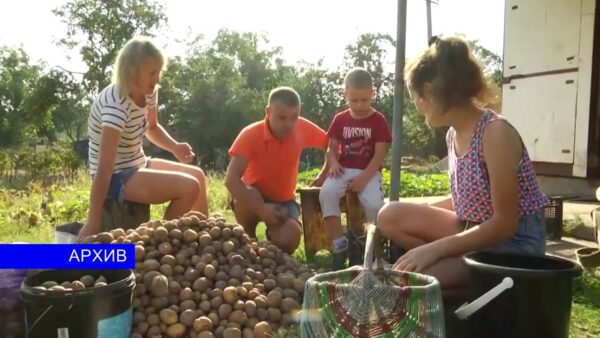 В финале конкурса «Властелин села-2019» третье место у представителей Мозырского района, семьи Бориса и Юлии Ярош