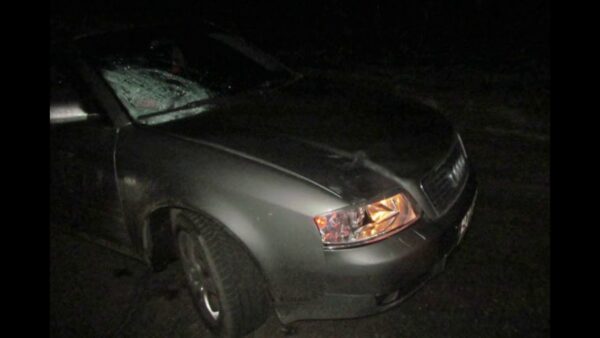 В Калинковичском районе автомобиль сбил 50-летнию женщину, которая двигалась по краю проезжей части