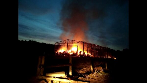 В Калинковичском районе сгорело 20 тонн сена