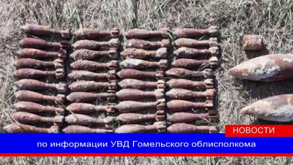 В Калинковичском районе во время земляных работ нашли арсенал времен Великой Отечественной войны
