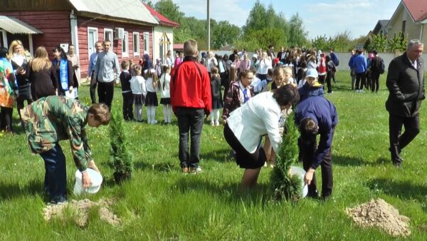 В микорайоне «Октябрьский» на днях заложили аллея из туй