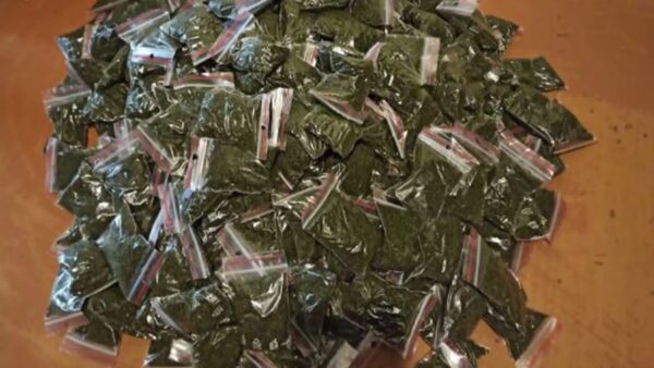 В Мозыре мужчина торговал насваем. Изъято более 12 кг товара
