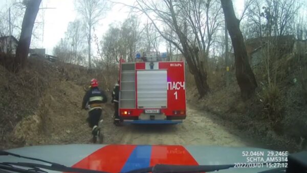 В Мозыре мужчину прижало спиленным деревом