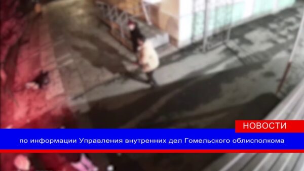 В Мозыре пьяная женщина затеяла драку. Теперь она с одной стороны — подозреваемая в хулиганстве, а с другой — пострадавшая от кражи