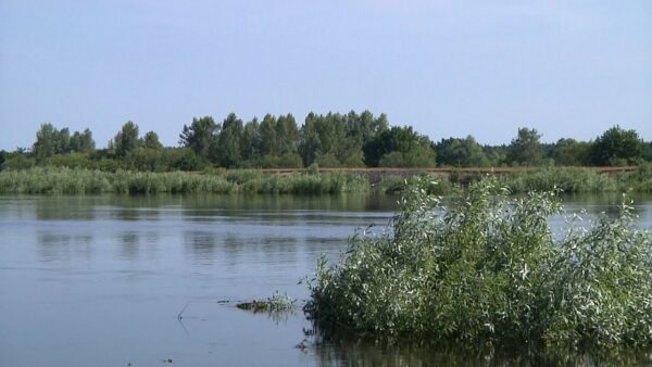 В Мозыре утонул 17-летний парень