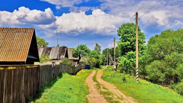 В Мозырском районе два местных жителя угнали автомобиль. Их задержали