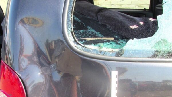 В Мозырском районе пьяный сельчанин изрубил топором машину