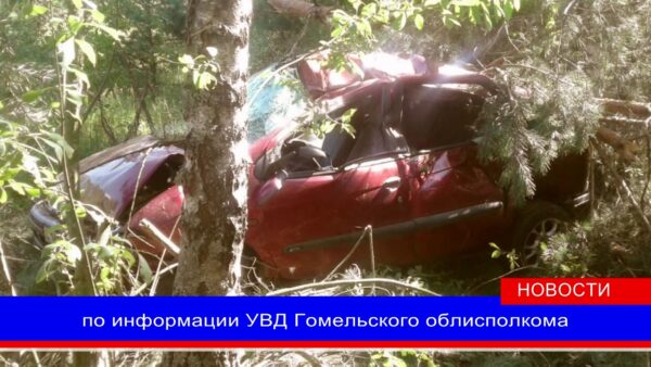 В результате ДТП в Калинковичском районе погиб водитель автомобиля