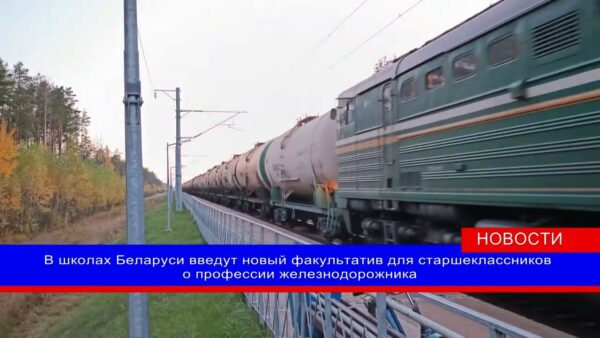 В следующем учебном году в школах появится необычный факультатив. Ребят будут знакомить с работой железной дороги