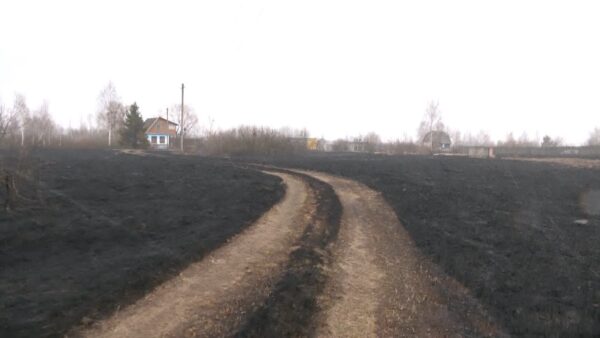 В субботу полыхали дачи вблизи деревни Лубня. Предварительно, огнем уничтожены пять домов и три хозпостройки