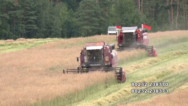 Ход уборочной компании под пристальным вниманием КГК