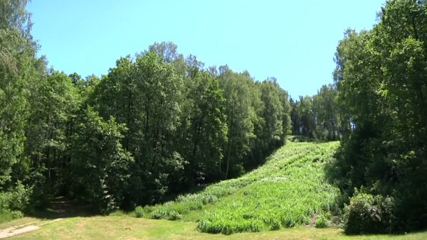 Хотела сократить дорогу, но потерялась. В воскресенье в Каменской Рудне искали женщину