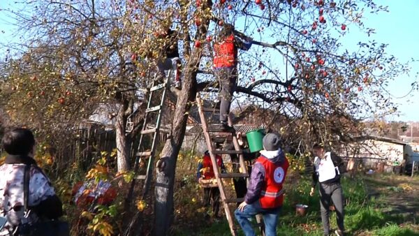 Юные волонтеры Красного Креста провели благотворительную акцию и помогли на участке пожилой мозырянке