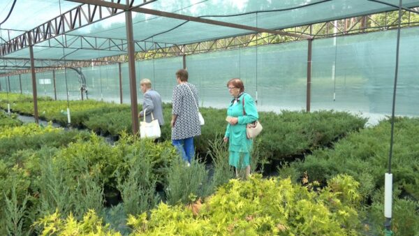 За впечатлениями – в Мозырский опытный лесхоз. Активисты Совета ветеранов организовали экскурсию на предприятие