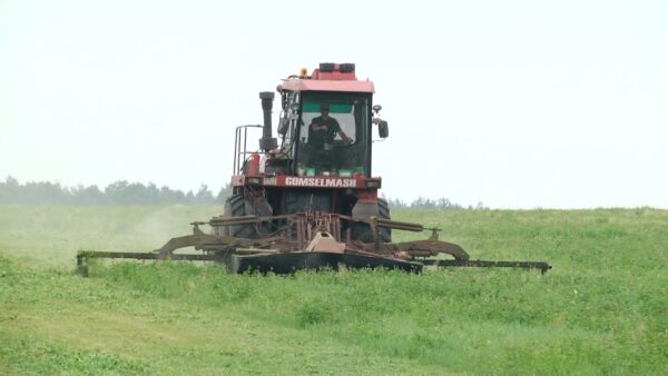 Заготовка травянистых кормов