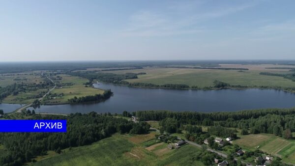 Запрет на посещение лесов