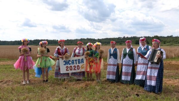 «Зажинки» на полях эксбазы «Криничная»