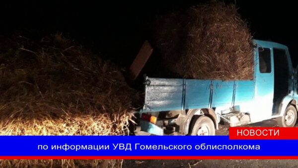 Житель Мозыря попался при перевозке похищенной соломы. Мужчине придется заплатить штраф