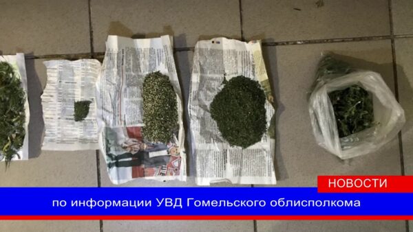 Житель Наровли хранил дома более 3 кг марихуаны. Наркоторговца задержали сотрудники наркоконтроля мозырского РОВД.