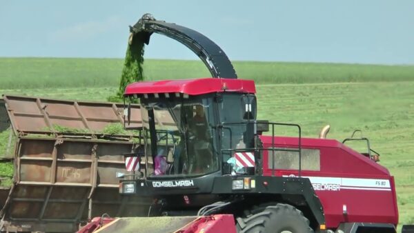 Зеленый свет для «зеленой уборки»