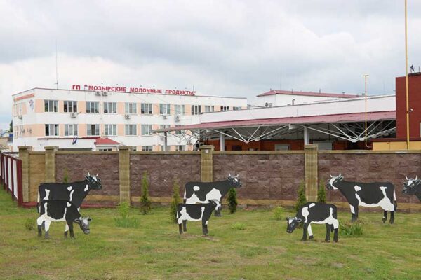 У «Мозырских молочных продуктов» — новый руководитель