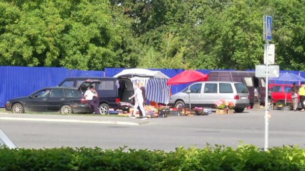 Вкусный сезон лисичек и черники уже стартовал! А в налоговой инспекции рассказали, кто может торговать дарами леса, и кому при этом придется платить налоги