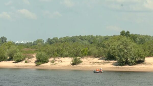 Запрет на купание детей действует на двух официальных пляжах