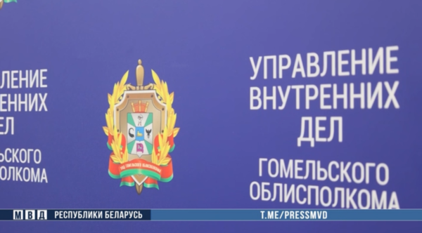 На Гомельщине задержана 23-летняя сутенерша