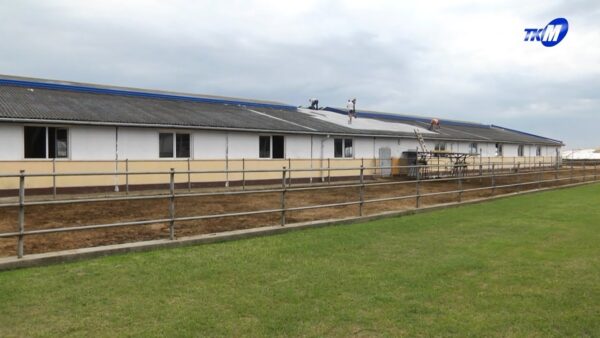 На высоком контроле – устранение последствий ураган. Юрий Горлов посетил Мозырский район