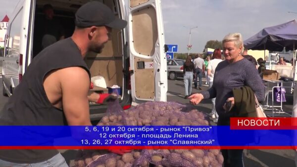 Где и по какому графику в октябре продолжат работать сельскохозяйственные ярмарки