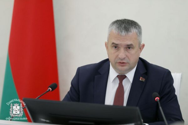 Нынешней осенью планируется высадить новый лес на площади 4306 га