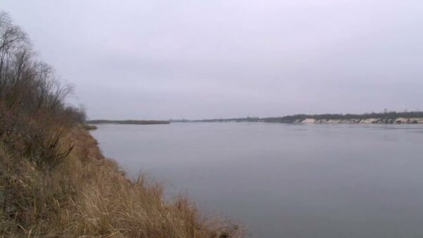 В руке было зажато весло. Тело мужчины нашли в затоне Припяти в Мозырском районе