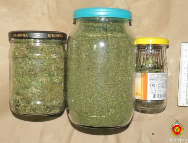 Заготовки на зиму привели к уголовному делу