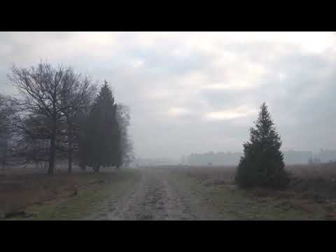 На Радуницу беспропускной режим в зоне отселения в Гомельской области будет действовать с 27 по 29 апреля