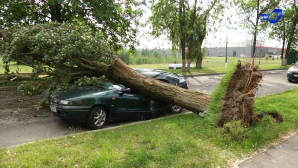 Задействованы все! Как на Мозырщине устраняли последствия июньской стихии