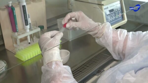 425 мозырян обратились в медицинские учреждения с укусами клещей