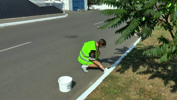 Молодежный трудовой десант высадился на Мозырском ДОКе