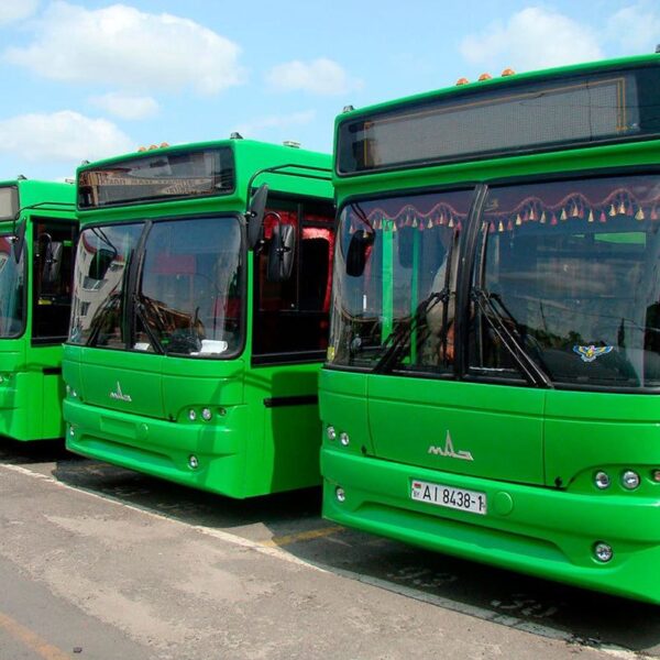 Ещё один автобусный маршрут «без кондуктора» появится в Мозыре