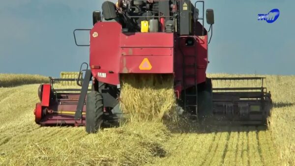 С зерновых полей республики намолочен первый миллион тонн зерна