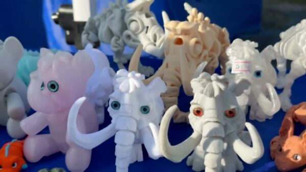 В Калинковичском районе любителей истории собрал интерактивный семейно-молодежный фестиваль «Мамонт.бай»