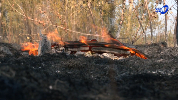 На территории Мозырского района вновь установлен 3 класс пожарной опасности