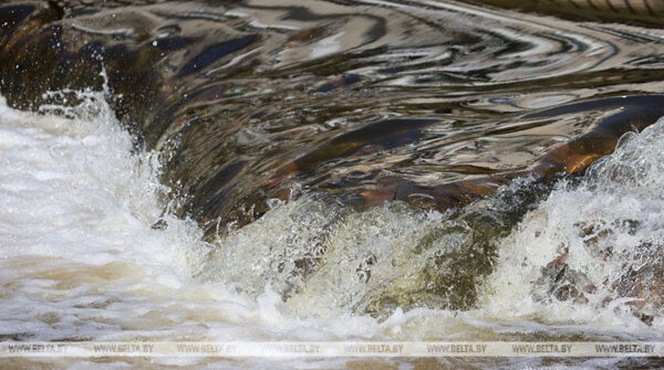 Белгидромет: в ближайшие дни на реках страны будет отмечаться спад уровней воды