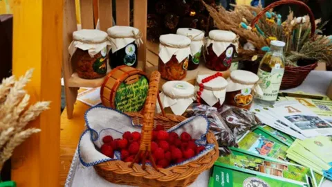 27 сентября Мозырщина отметит районный праздник тружеников села «Дожинки-2025»