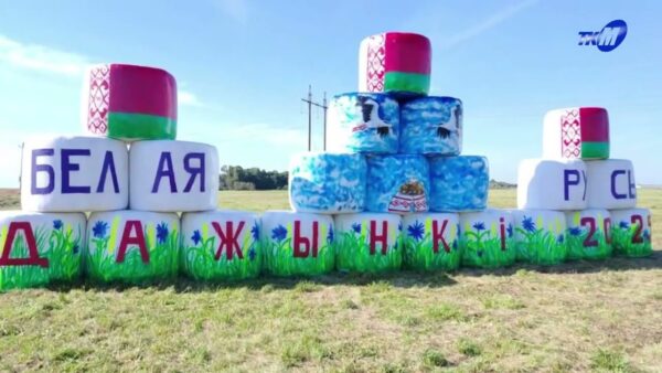 Отдайте свой голос за понравившуюся соломенную композицию и поддержите свой район! У мозырской скульптуры – номер 13