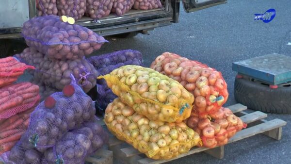 Продают всё, чем богат этот сезон! Осенняя ярмарка на площади Ленина
