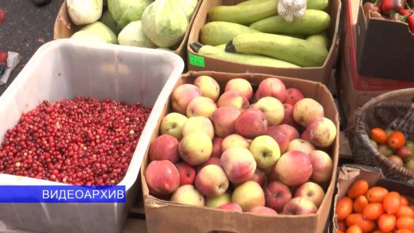 Сезон осенних ярмарок открывается в Мозыре 13 сентября