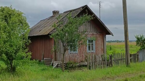 Вора вычислили по отпечаткам пальцев. В Скрыгалове мужчина вынес из дачного мужчина спиртное и бензопилу