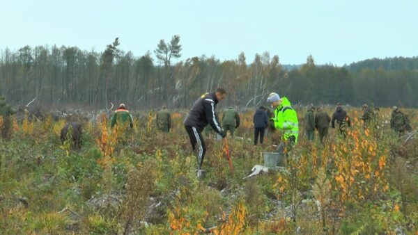 Более тысячи добровольцев приняли участие в республиканской акции «Дай лесу новае жыцце» на Мозырщине
