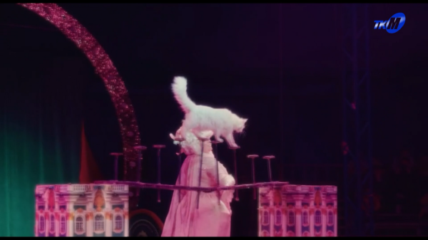 Гастрольный тур в Мозыре начинает цирковая компания «13 метров» совместно с Гомельским государственным цирком