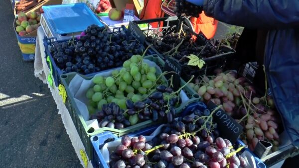 Ярмарки продлены до конца ноября